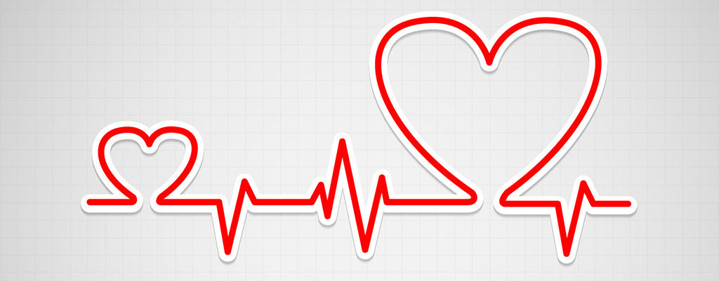 L'Infuso di Foglie di Olivo contribuisce a migliorare l'attività cardiocircolatoria