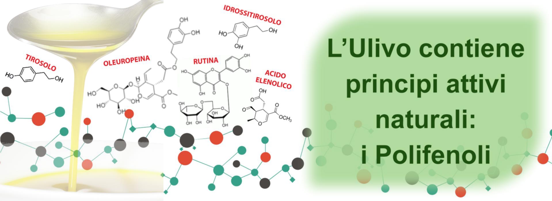 L'infuso di foglie di olivo contiene principi attivi naturali